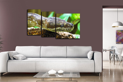 Модульная картина "Рептилия"