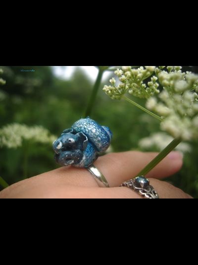 Волшебное колечко со Слоноулиткой