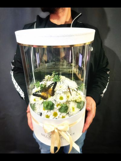 Белая хризантема №73