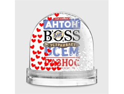 Водяной шар #9 Антон