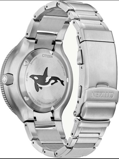 Наручные часы Citizen BN0231-52L