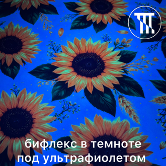 Бифлекс матовый принт Подсолнух (флюр)