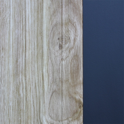 Стальная дверь   Spark. Заказная модель.