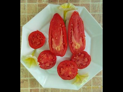 Томат Osu o Blonde avec Tetons (Пышногрудая блондинка Osu)