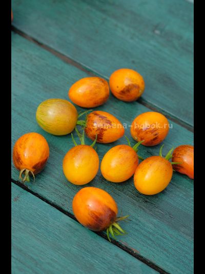 Томат Atomic Sunset (Атомный Закат), 10 шт