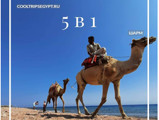 5 в 1 - Дахаб Каньон (Towailat) + Три бассейна + прогулка на верблюдах + мотосафари + Дахаб из Шарм Эль Шейха