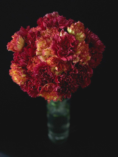 Гвоздика 15 шт