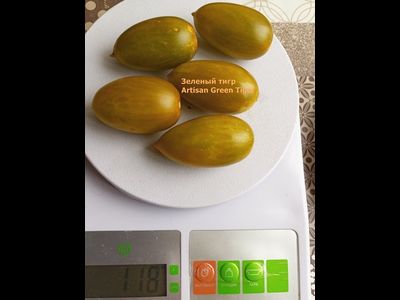 Томат черри Зеленый тигр (Artisan Green Tiger)