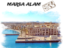 OUR OFFERS IN MARSA ALAM