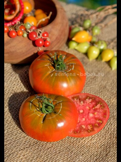 Томат Cowboy (Ковбой), 10 шт