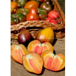 Томат Ананасный Сержант, 10 шт