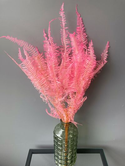 Папоротник #2 розовый
