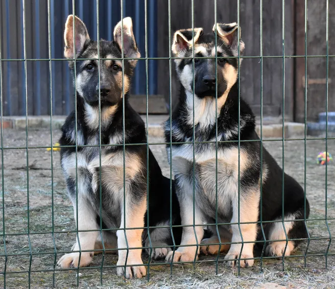 Рекламный макет