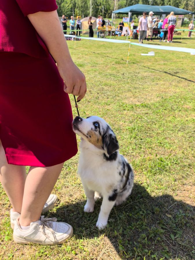 Рейна (Glory To You By Bauer)