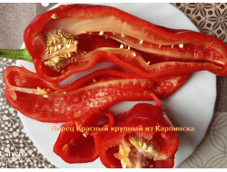 Перец сладкий Красный крупный из Карпинска (назв. условное)