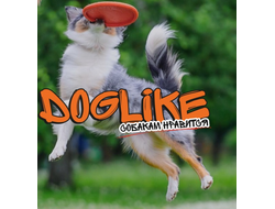 Снаряды DOGLIKE для профессиональной дрессировки Усиленные грани