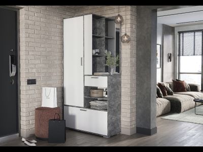 Денвер Прихожая 1000х2020х355 Ателье светлое/Белый