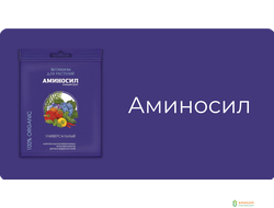 Аминосил