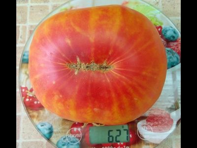 Томат Немецкий полосатый (Striped German)