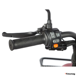 Электротрицикл Wanshida LC-F200 60V 1000Вт красный