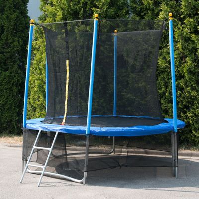 Батут «Winner Classic» (8 футов / 244 см, верхняя + нижняя защитные сетки и лестница в комплекте)