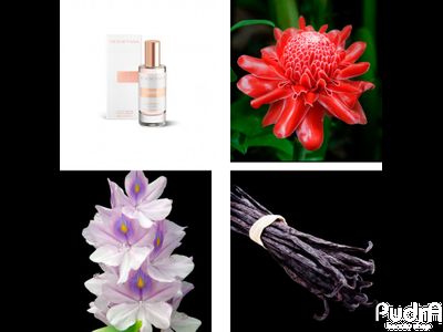 YODEYMA парфюмерная вода женская TEMIS 15 ml