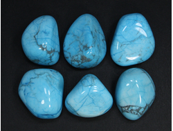 Говлит тонированный, галтовка в ассортименте, Зимбабве (25-30 мм, 15-18 г) №21450