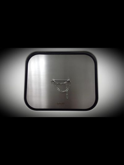 Мойка Reginox Chicago L BBQ steel lux 316