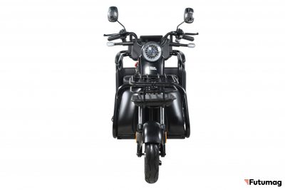 Пассажирский трицикл WHITE SIBERIA SIBTRIKE R 2000W