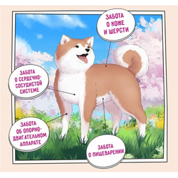 ZILLII Adult Large Breed Корм сухой для взрослых собак крупных пород Индейка с Ягненком  3 кг