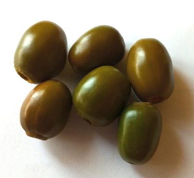 Перец острый Rocoto Mini Olive (Мини олива Рокото)