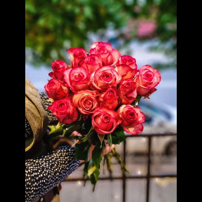 Роза Эквадор "Карусель" 60 см 15 шт