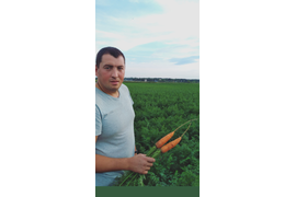 Главный Богатырь оценил свой урожай моркови