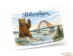 Почтовая открытка 10-15 см Новосибирск бугринский мост+медведь