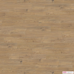 Декор ламината Haro Tritty 200 Aqua Дуб Сицилия Натур 537371 фронт