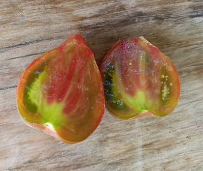 Томат Волшебная Радуга