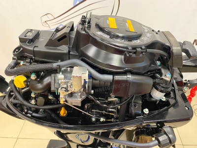 Лодочный мотор MARLIN MF9.9 AMHS PRO под колпаком карбюратор