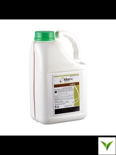 Матч КЭ 5 л