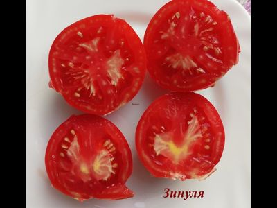 Томат Зинуля