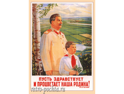 7466 П Голубь плакат 1949 г