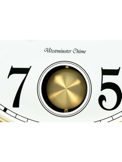 Настенные часы Rhythm CMJ579NR06