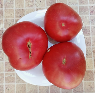 Томат Немецкий красный бабушки Кентрел (Granny Cantrell’s German), Канада