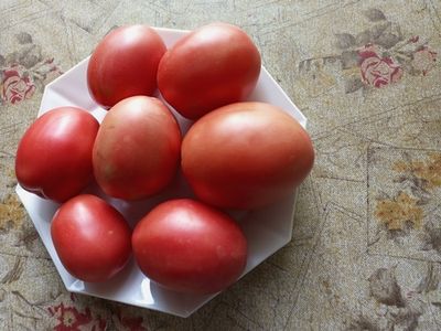 Томат Воловье сердце минусинское