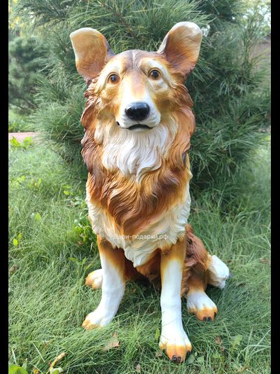 КОЛЛИ - садовая фигура 58*42см  3кг   экологичный полистоун Россия  3049/012211*  Не боится влаги и перепадов температур.