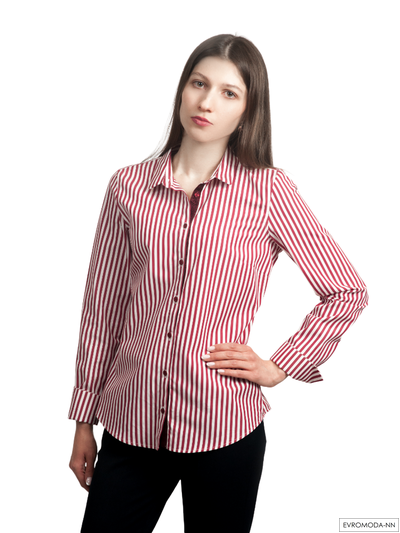 Блузка Даниа-SGPB