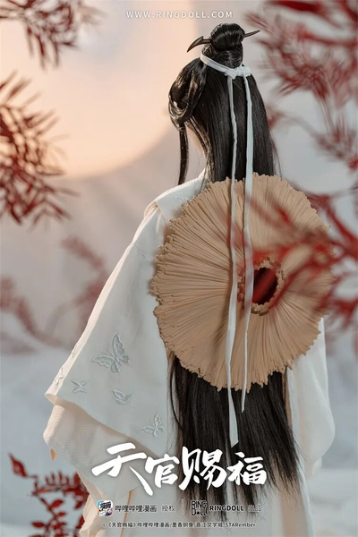 Кукла БЖД 1/3 Лянь Се (Xie Lian Manhua)