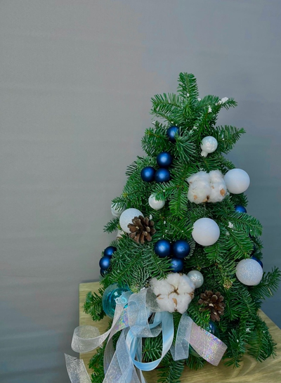 Снежная ёлочка