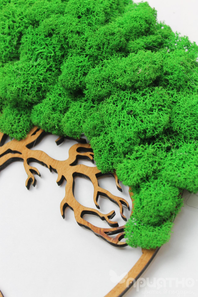 Живая Эко-Картина 1067