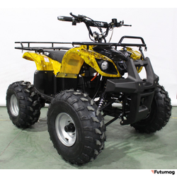 Квадроцикл GreenCamel Atakama T220 (48V 1000W R8 Дифференциал) пониженная