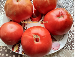 Томат Болгарский гигант (Bulgarian giant)